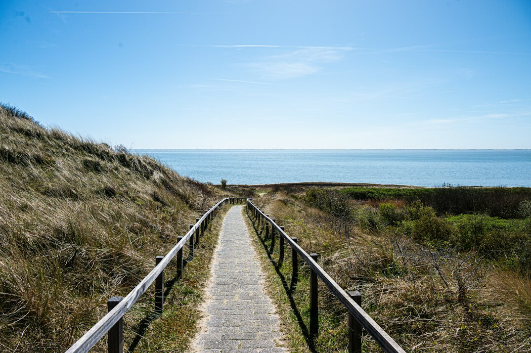 person walking on path towards horizon